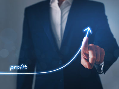 Profit making Company for Sale